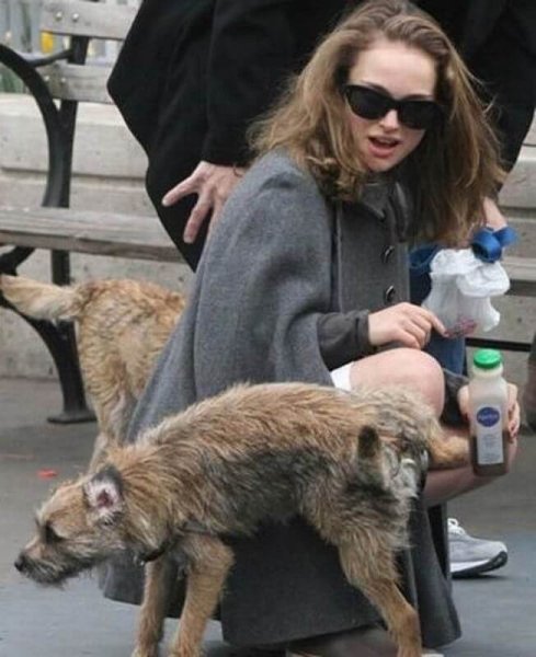 Натали Портман смешные фото