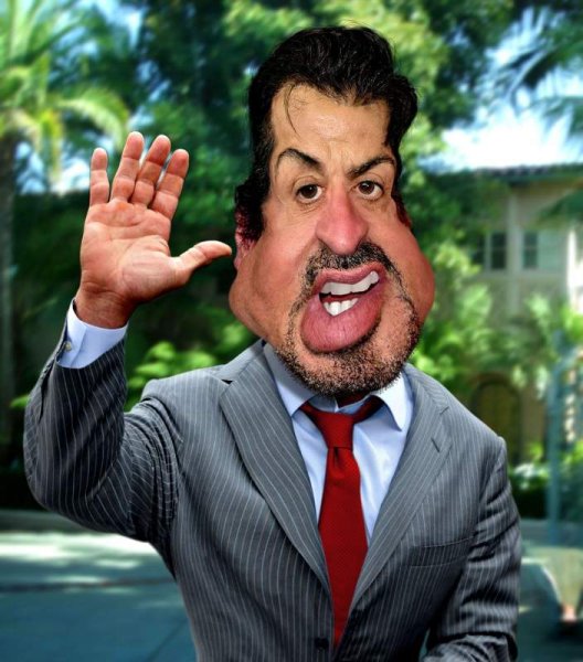 Кот ловит звезды