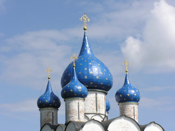 Голубые купола храм Рязани