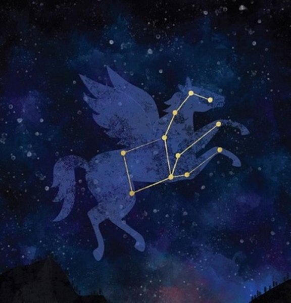 Кьяра Единорог Мия и я