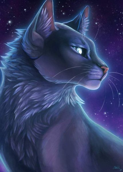 Коты Воители синяя звезда