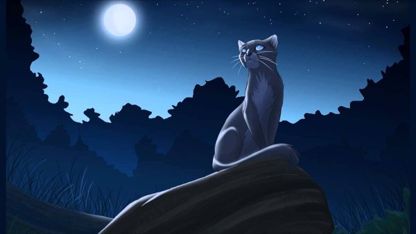 Коты Воители коты лунного племени