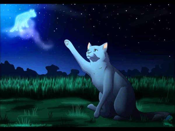 Коты Воители синяя звезда и Белогривка