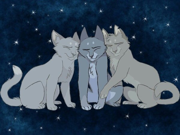 Коты Воители синяя звезда камень и невидимка