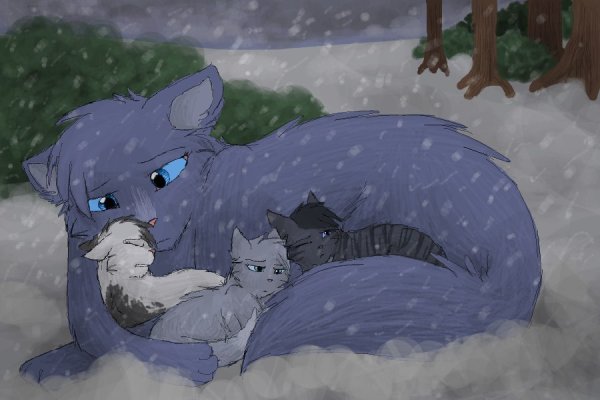 Коты Воители чиногрика