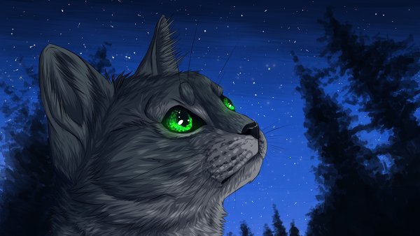 Коты Воители Грач и Ласточка