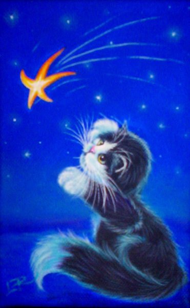 Кот и звезды арт