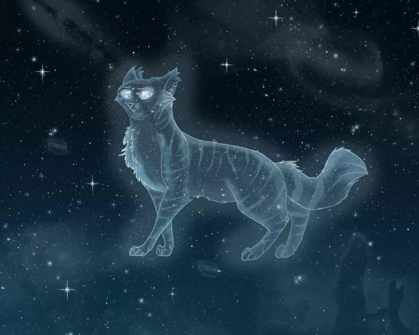 Неоновый кот алмазная мозаика
