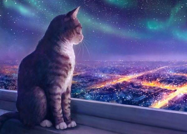 Кошка арт
