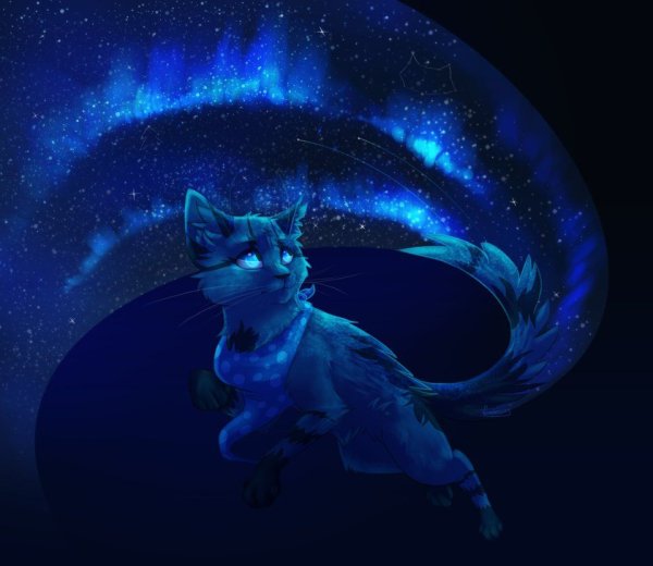 Коты Воители Звёздное племя