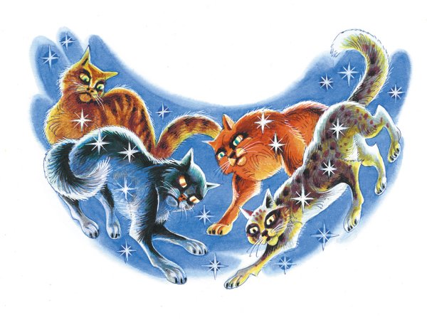 Кот и звездное небо