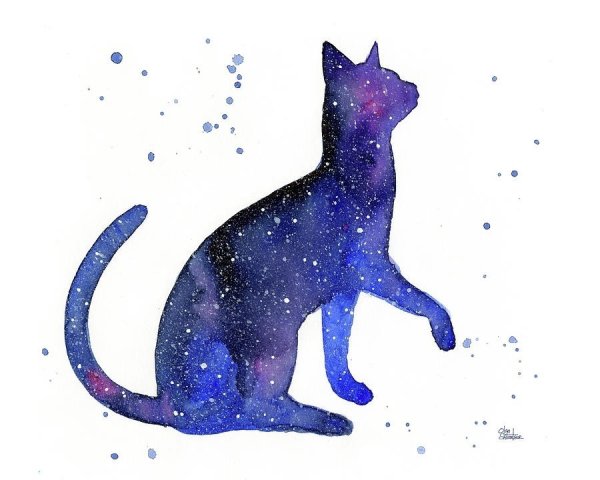 Коты Воители Romashik-Arts