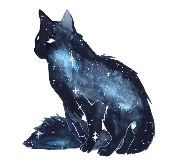 Кот в космосе