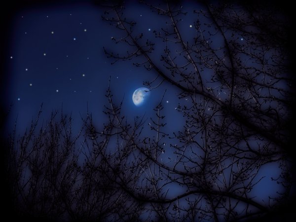 Ночное небо с луной