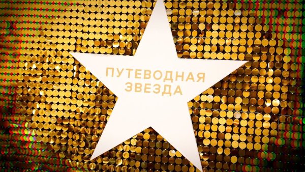 Путеводная звезда премия