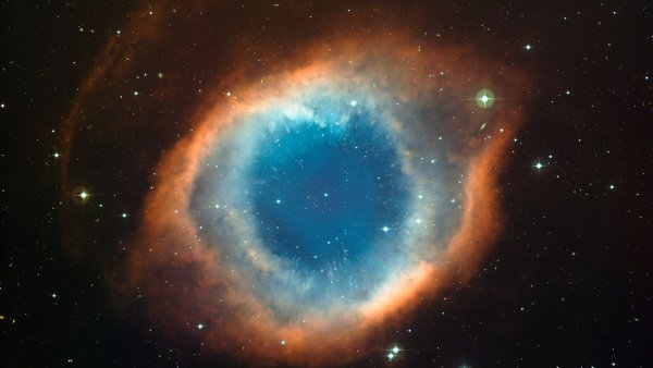 Георотатор тифон