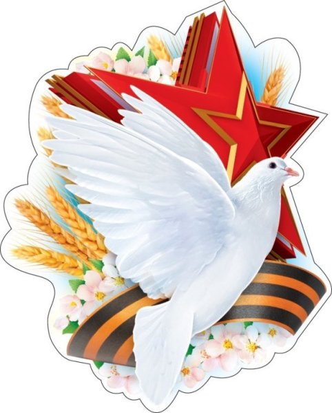 Голубь мира к 9 мая