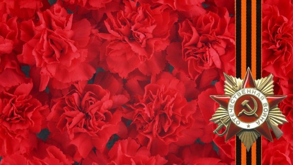 Георгиевская ленточка и гвоздика, пилотка