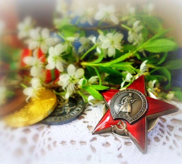 Я помню я горжусь