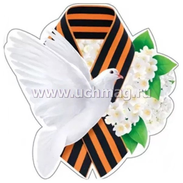 Георгиевская ленточка и гвоздика, пилотка