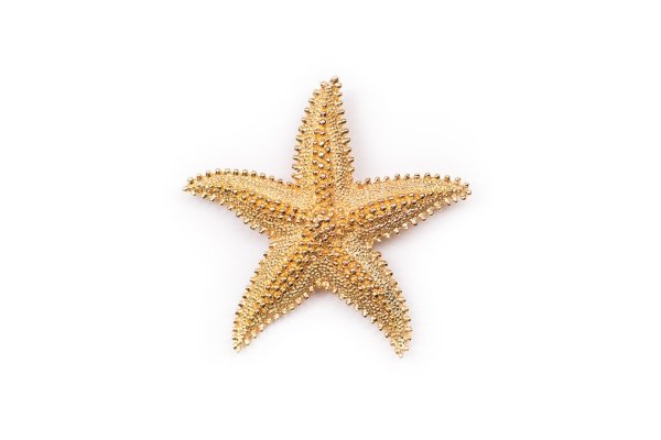 Морская звезда