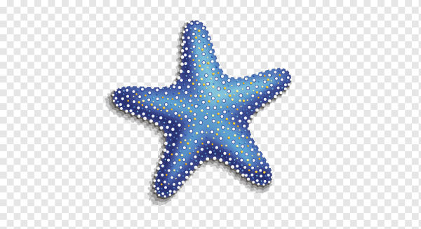 Пиксельная морская звезда