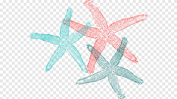 Морская звезда анимация