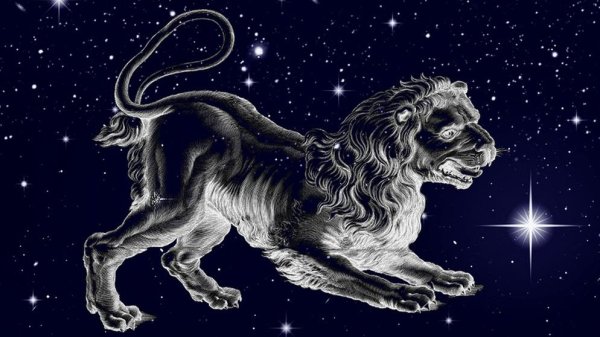 Созвездие Льва