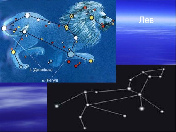 Созвездие Льва регул