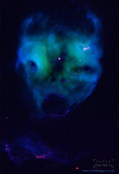 Ужасные снимки призраков