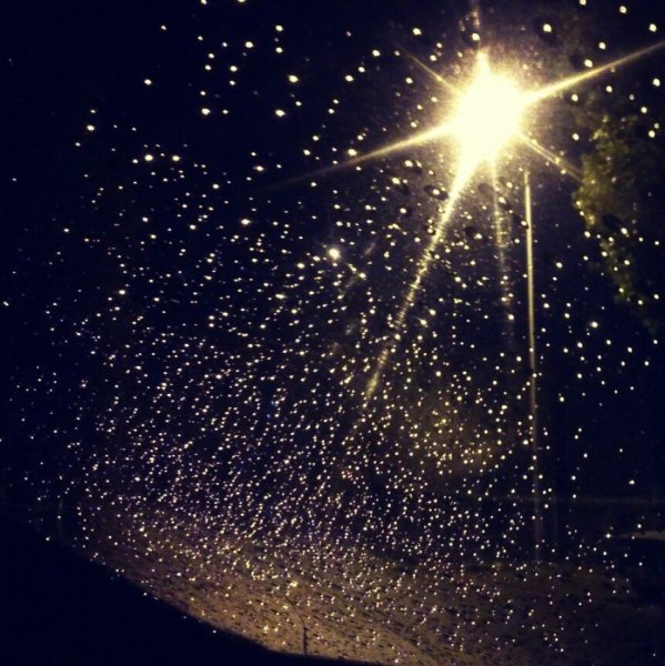 Звезда надежды