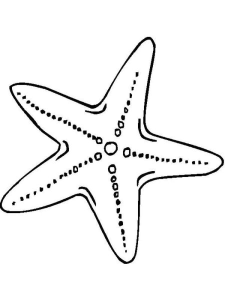Зентангл морская звезда