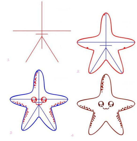 Поэтапное рисование морской звезды