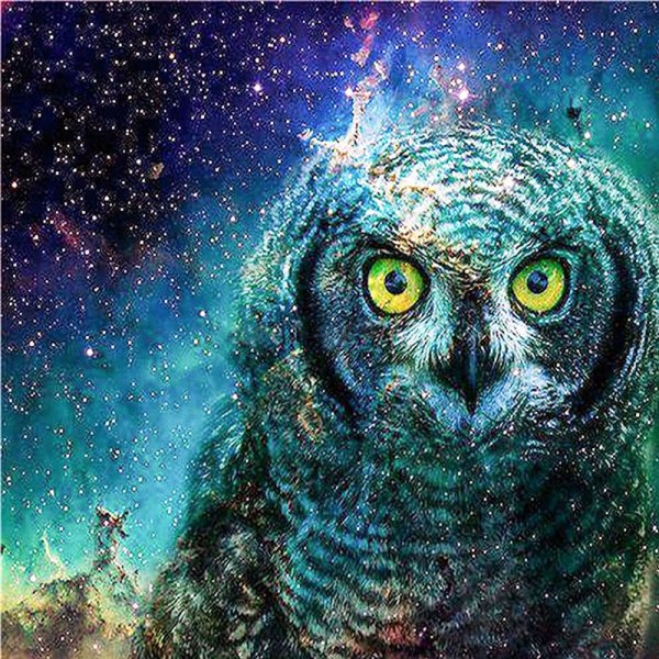 Сова с бирюзовыми глазами