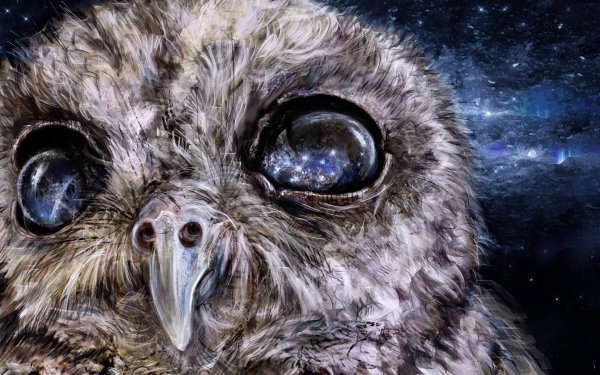Сова с глазами космос
