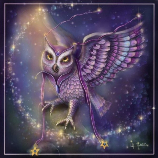 Кэрол Каваларис Сова Совы