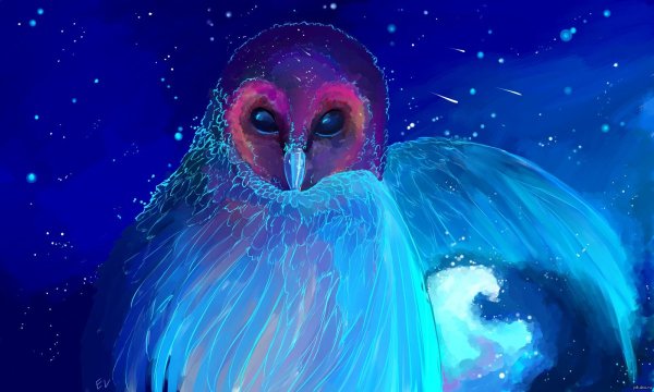 Сова сипуха фэнтези