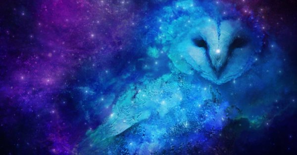 Галактическая птица