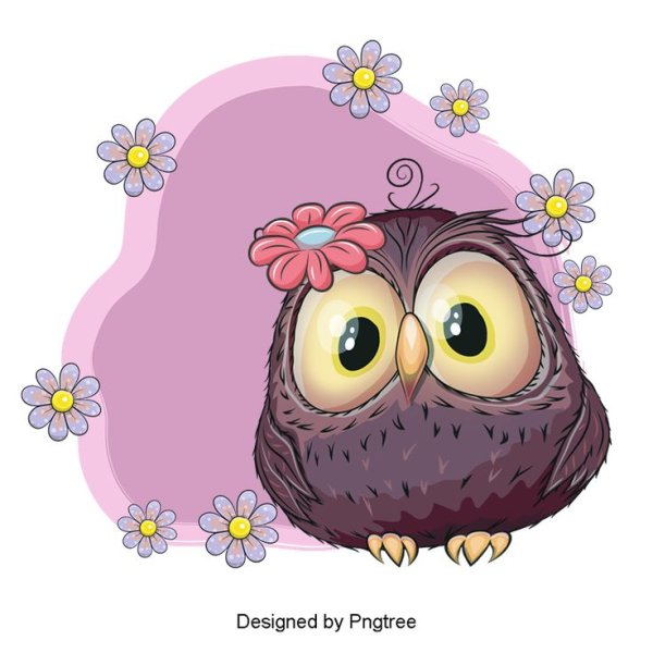 Сова на ветке ученая