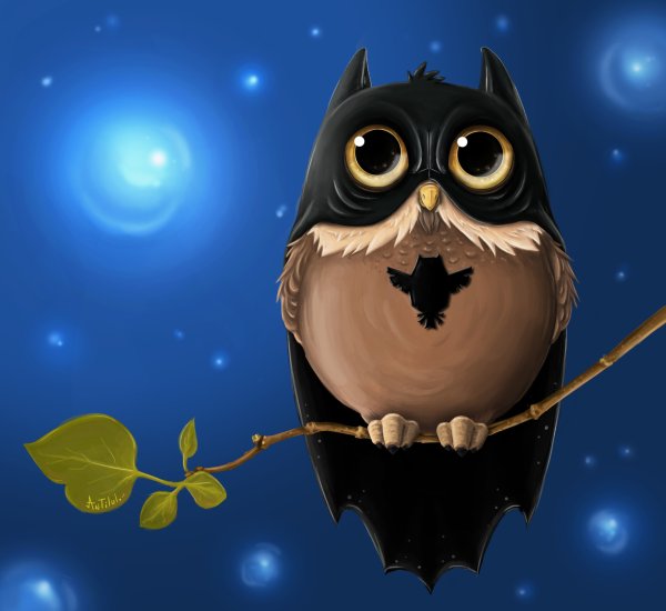 Голубая Филиппинская Сова