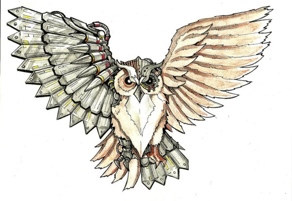 Полина Яковлева художник иллюстратор