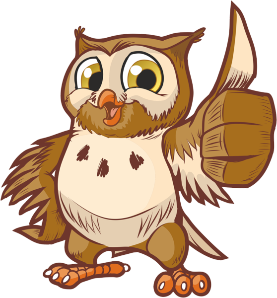 Сова охотится ночью