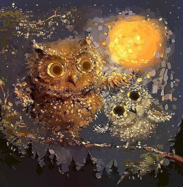 Сипуха Гарри Поттер