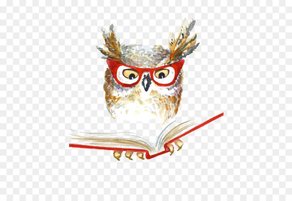 Парящая Сова