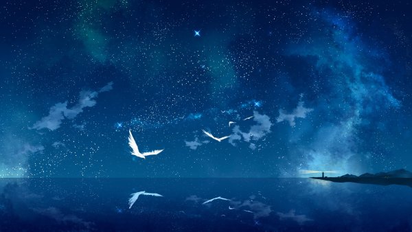 Красивое ночное небо