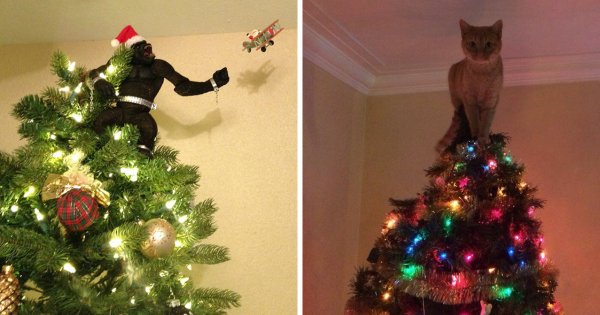 Кот и елка