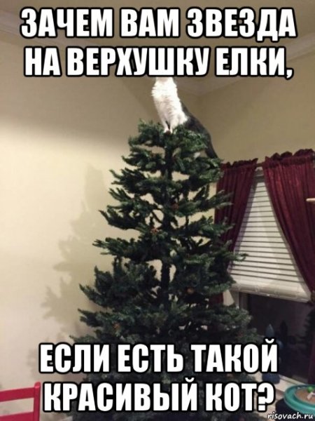 Звезда на ёлку разноцветная