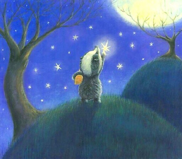 Ежик и звездное небо