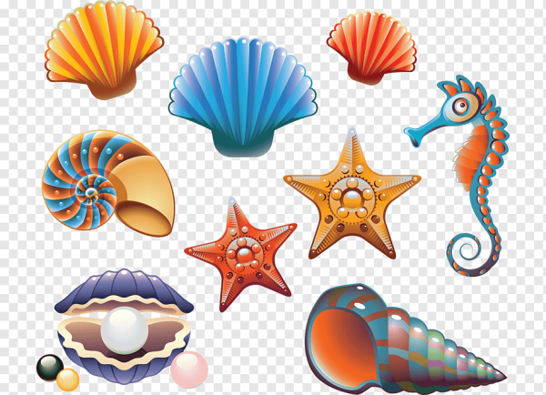 Наклейка ракушки и морские звезды