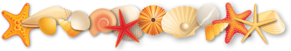 Полоса ракушки